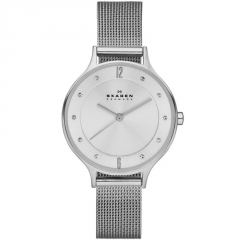 Ремешок Skagen SKW2149