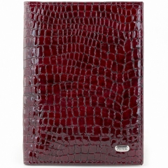 Обложка для автодокументов Petek 584.091.03