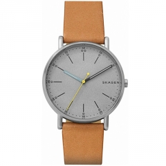 Ремешок Skagen SKW6373