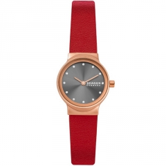 Ремешок Skagen SKW3009