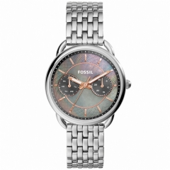 Ремешок Fossil ES3911