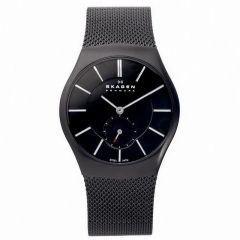 Ремешок Skagen 916XLBSB