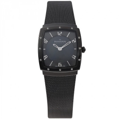 Ремешок Skagen 396XSBB