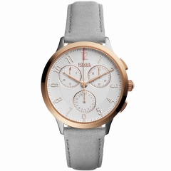 Ремешок Fossil CH3071