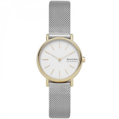 Ремешок Skagen SKW2910