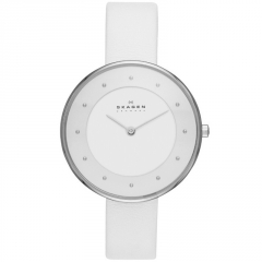 Ремешок Skagen SKW2136