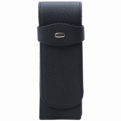 Пенал для ручек Petek 612.234.01