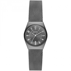 Ремешок Skagen SKW3039