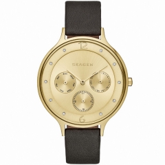 Ремешок Skagen SKW2393