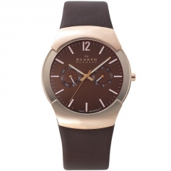 Ремешок Skagen 583XLRLM