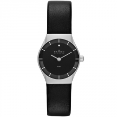 Ремешок Skagen SKW2048