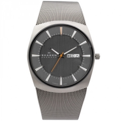 Ремешок Skagen 696XLTTM