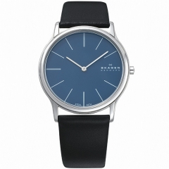 Ремешок Skagen 858XLSLN