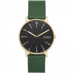 Ремешок Skagen SKW6861