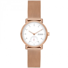 Ремешок Skagen SKW3099