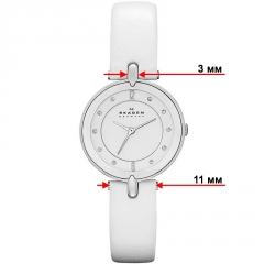 Ремешок Skagen SKW2012