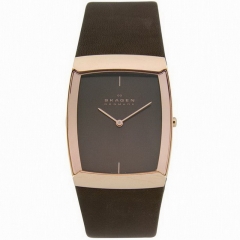 Ремешок Skagen 584LRLM