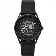 Ремешок Skagen SKW6580